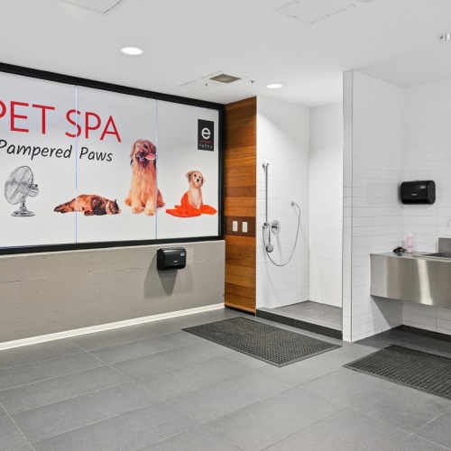 Pet Spa with wash and drying station